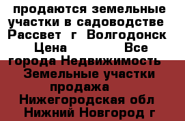 продаются земельные участки в садоводстве “Рассвет“ г. Волгодонск › Цена ­ 80 000 - Все города Недвижимость » Земельные участки продажа   . Нижегородская обл.,Нижний Новгород г.